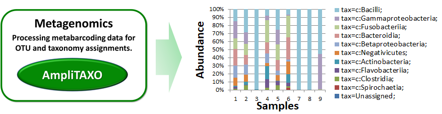 AmpliTAXO workflow schema