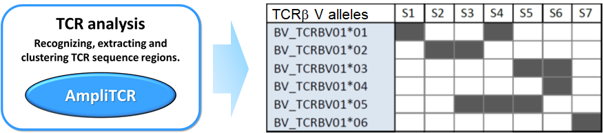 AmpliTCR workflow schema